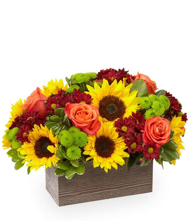 Happy Harvest Garden