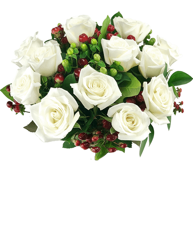One Dozen White Christmas Roses