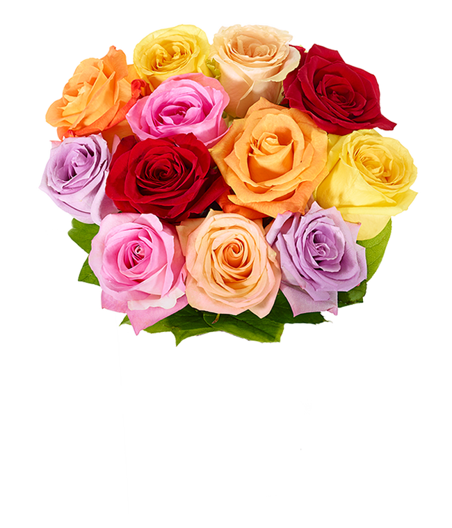 One Dozen Rainbow Roses
