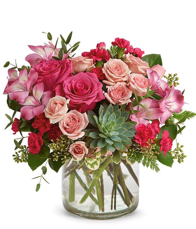 Pink Rose Succulent Garden
