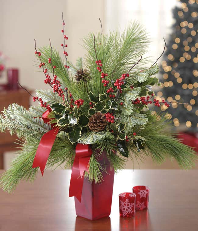 Everlasting Evergreen