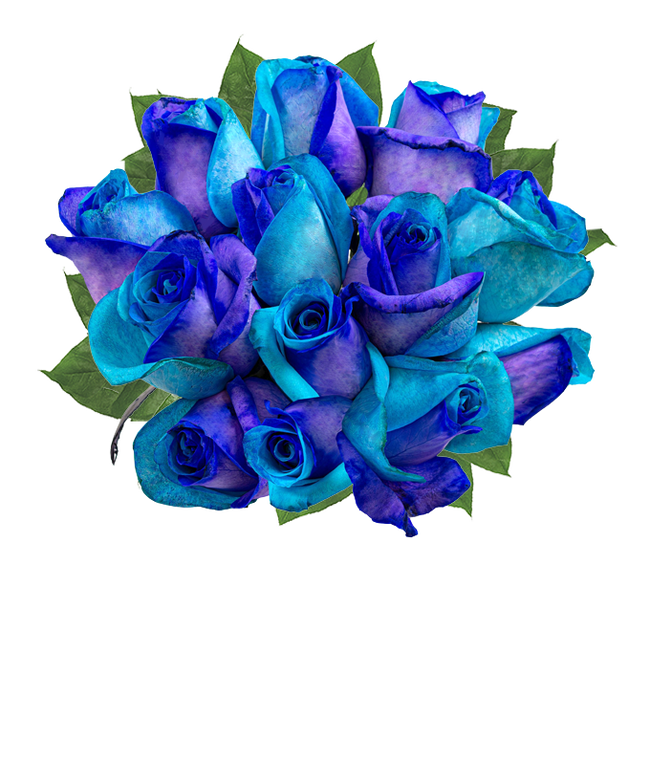 One Dozen Ocean Blue Roses