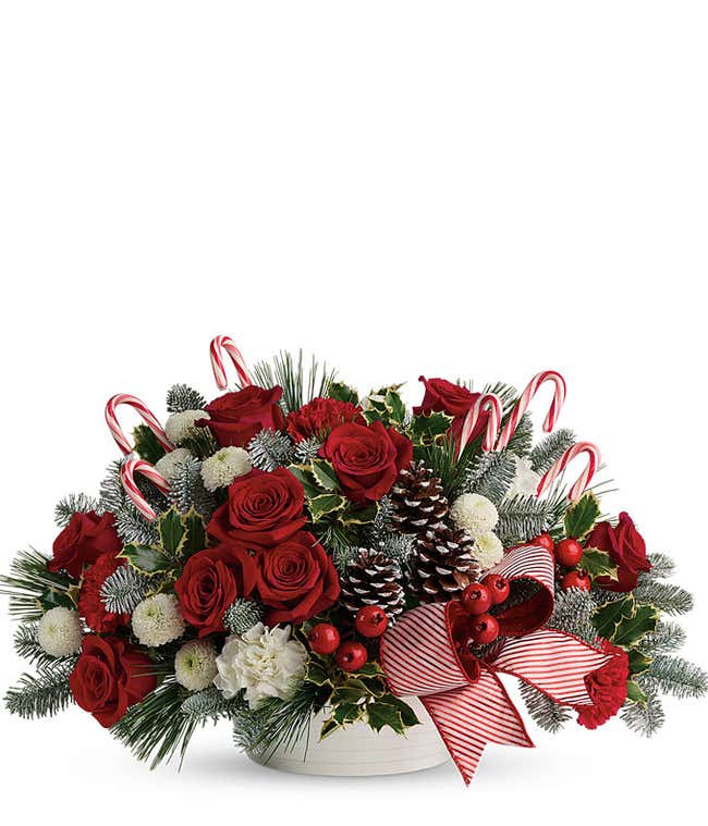 Candy Canes n Roses